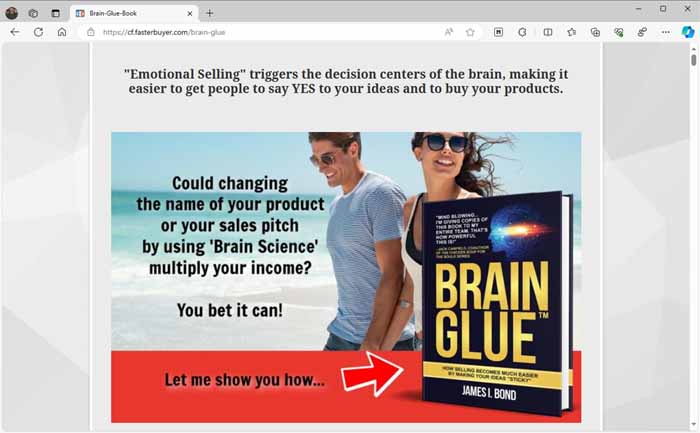 Brain Glue site